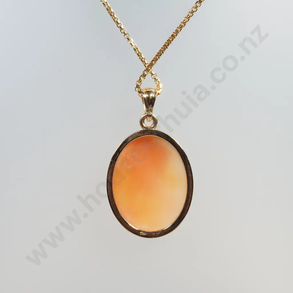 Magnificent Cameo Pendant in 9ct Gold Frame on 9ct Gold Chain Image 1++