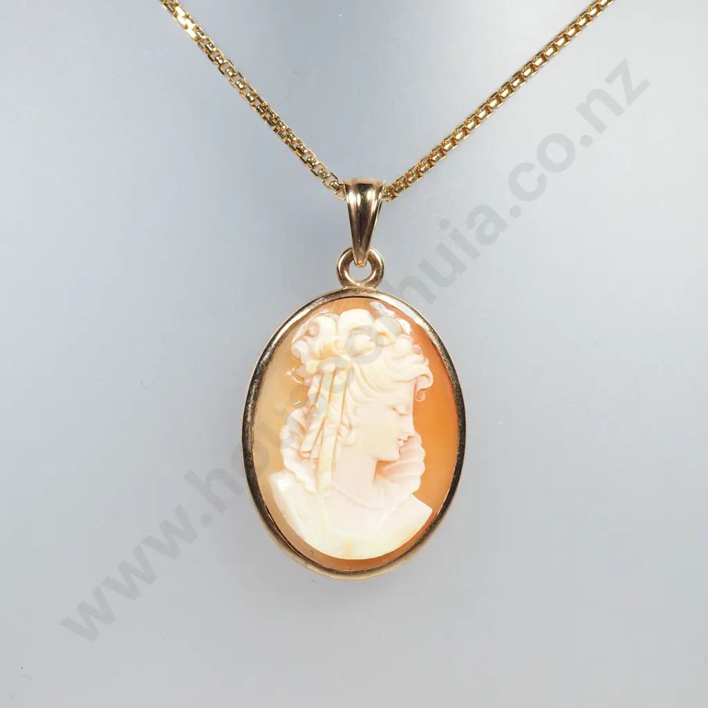 Magnificent Cameo Pendant in 9ct Gold Frame on 9ct Gold Chain Image 1++