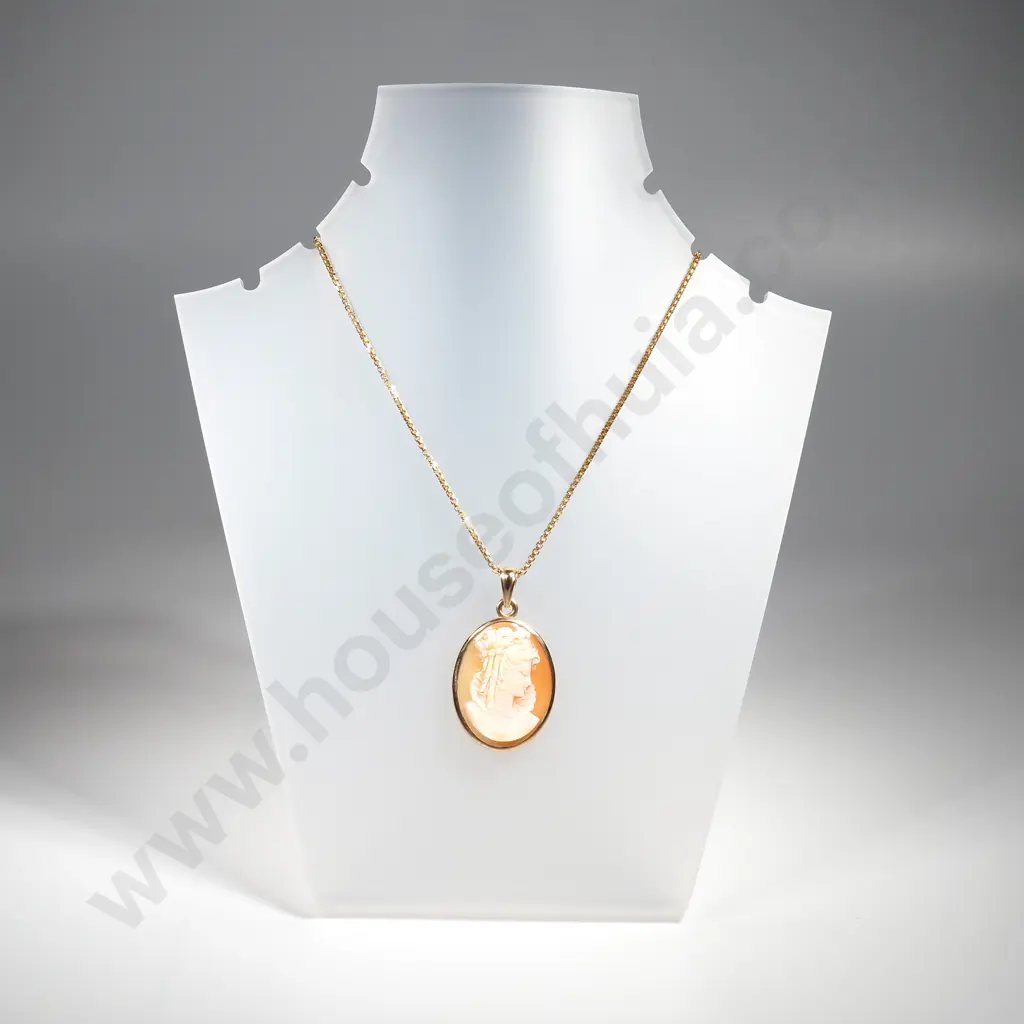 Magnificent Cameo Pendant in 9ct Gold Frame on 9ct Gold Chain Image 1++