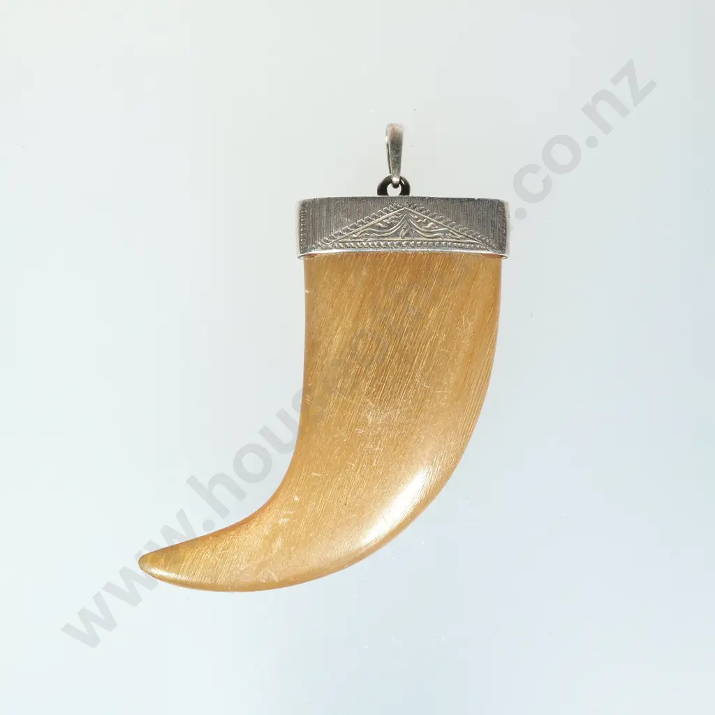 Sterling Silver Tiger Claw Pendant Image 1++
