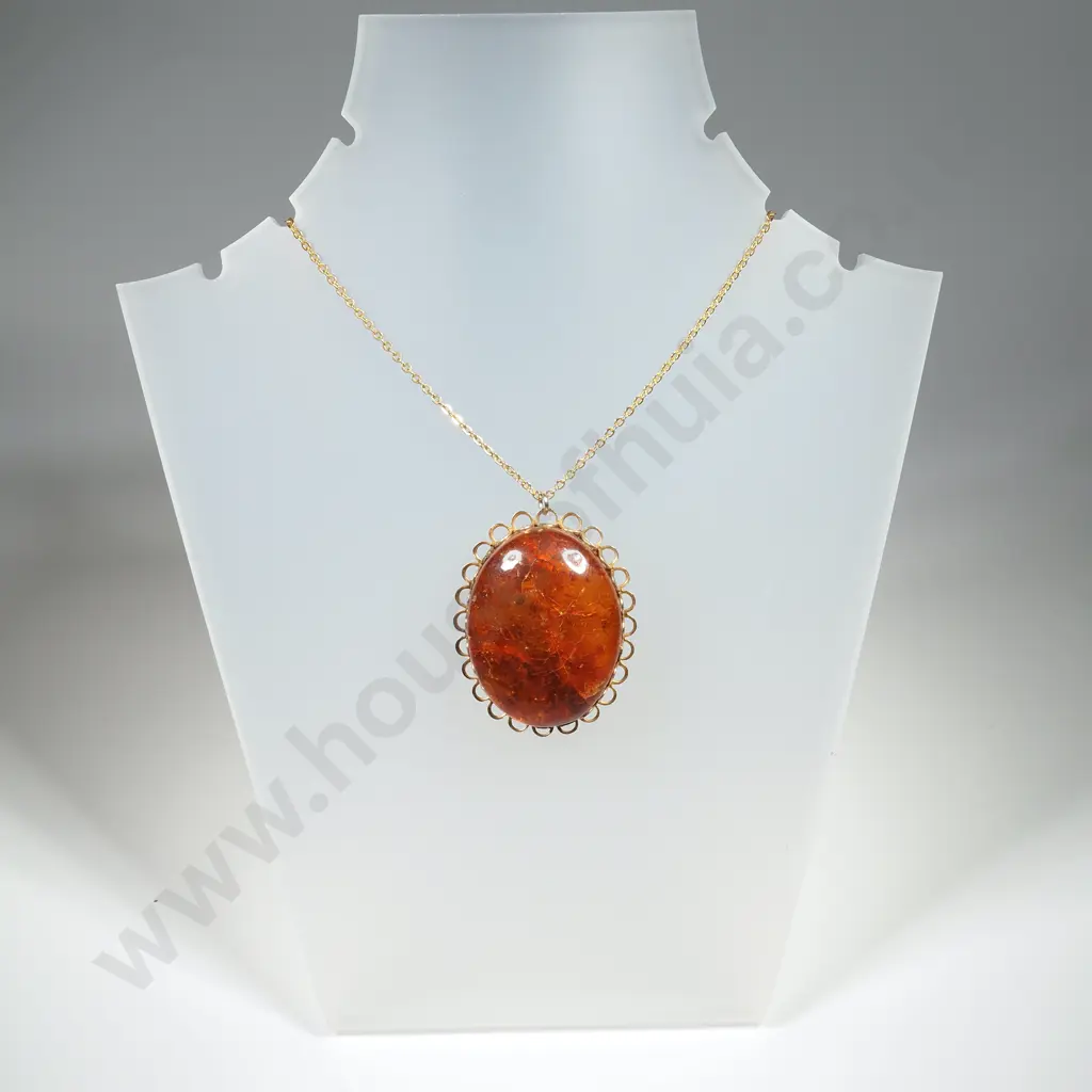 Costume Amber Pendant / Necklace Image 1++