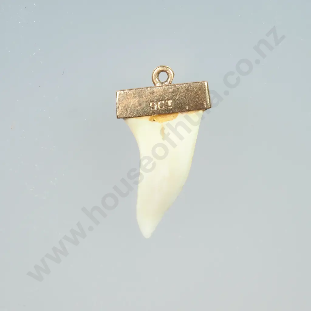 Colonial 9ct Gold Capped Sharks Tooth Pendant Image 1++
