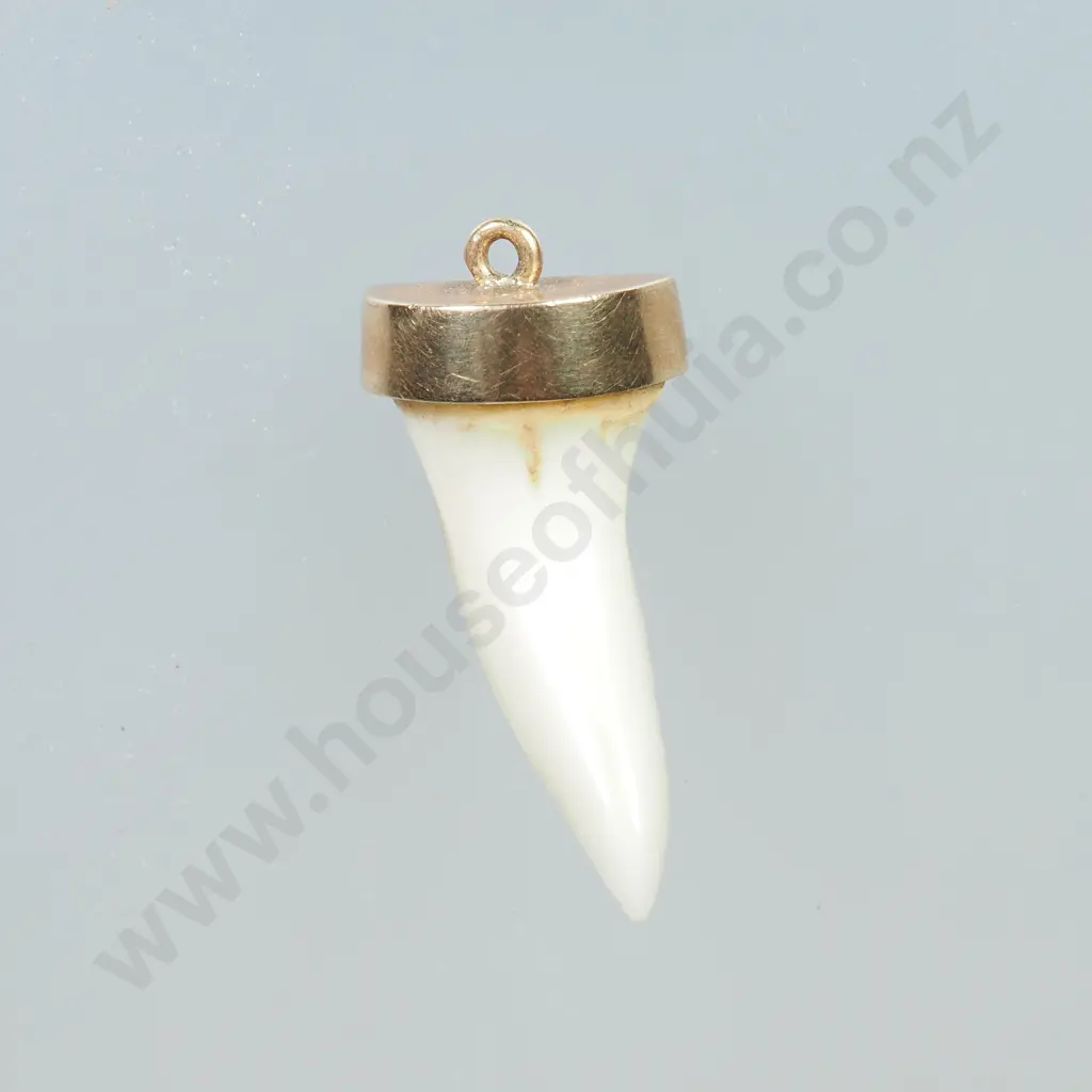 Colonial 9ct Gold Capped Sharks Tooth Pendant Image 1++