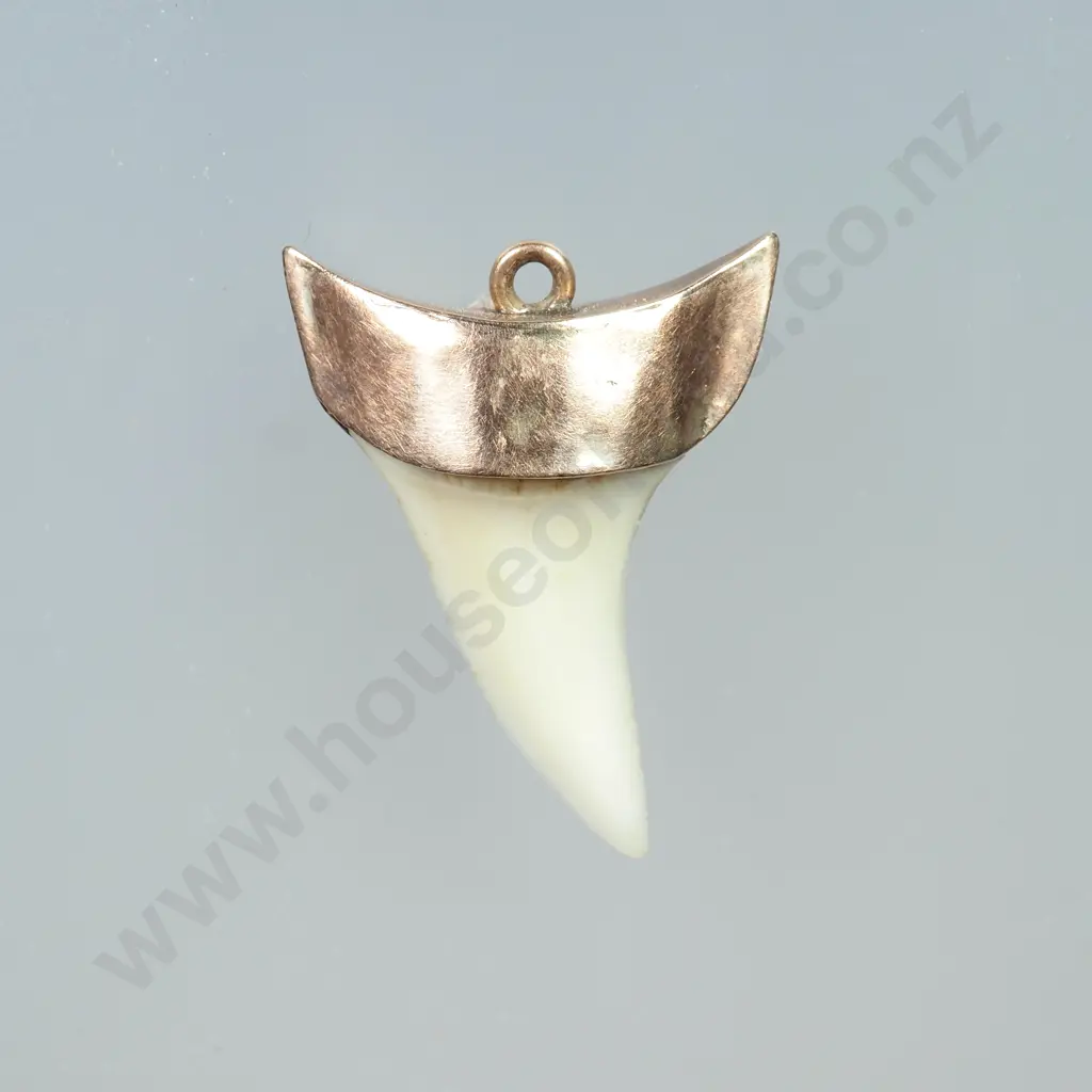 Colonial 9ct Gold Capped Sharks Tooth Pendant Image 1++