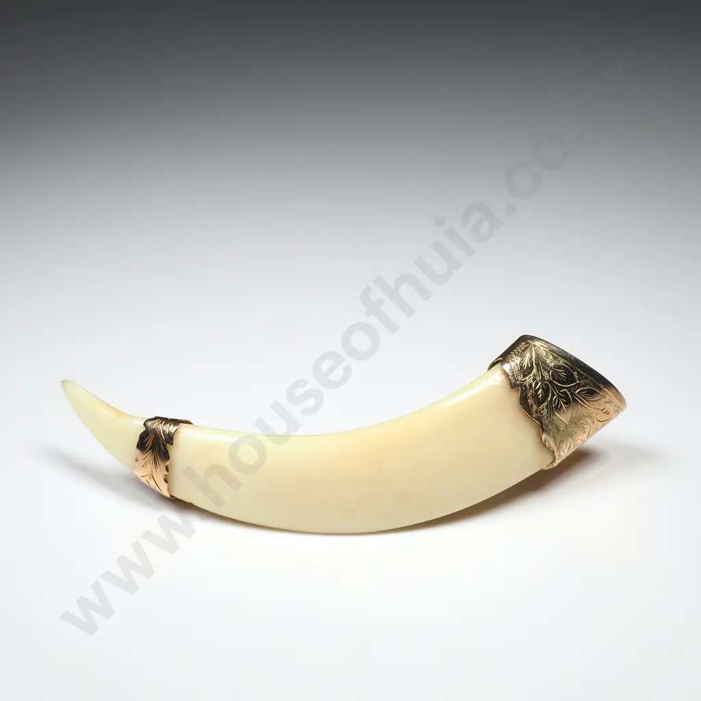 Colonial 9ct Gold Boer Tusk Brooch Image 1++