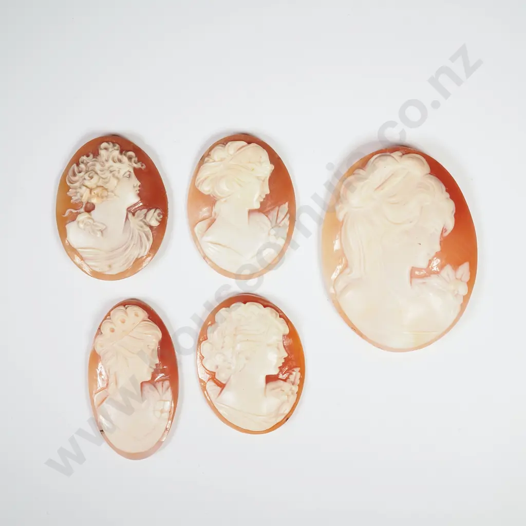 Five Vintage / Antique Unmounted Cameos  Image 1++