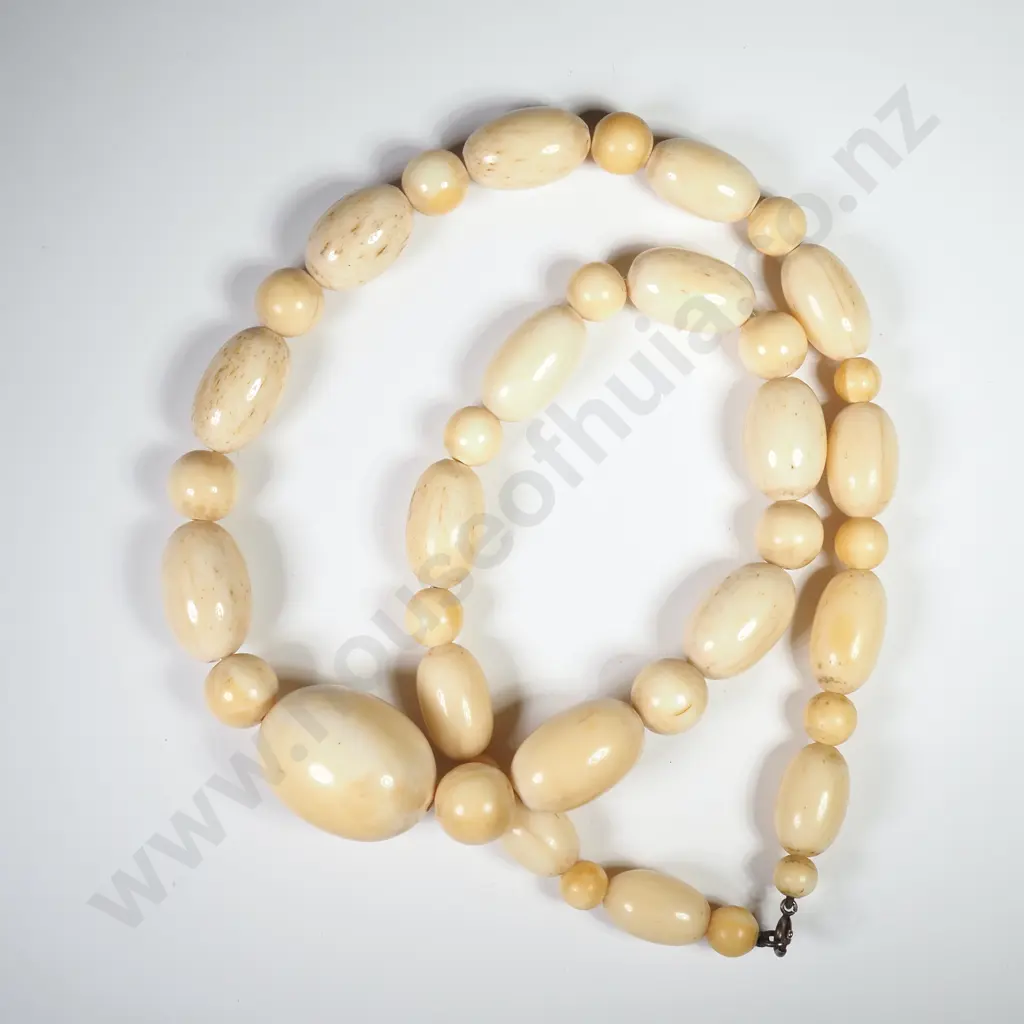 Magnificent Carved Bone Necklace Image 1++