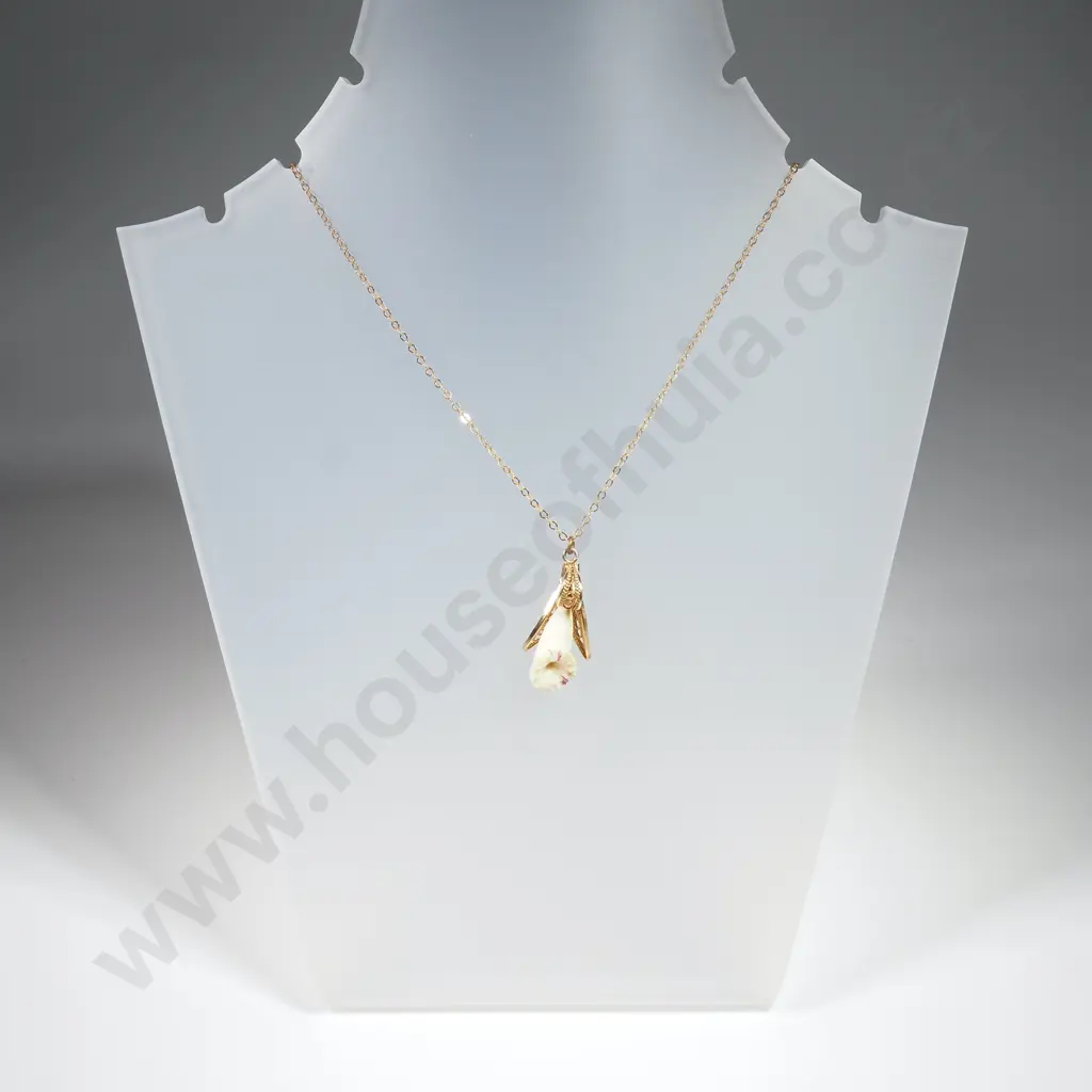 Gold Plate Necklace / Pendant Image 1++