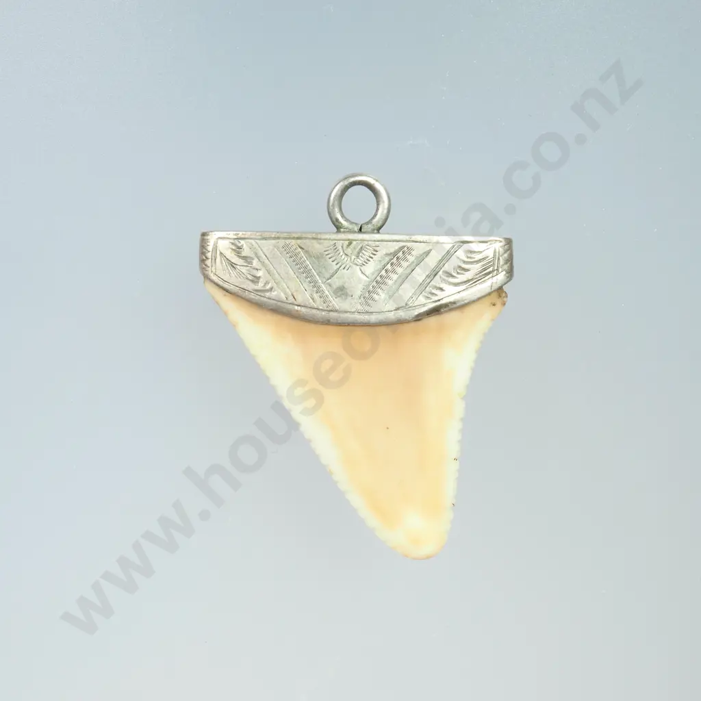 Colonial Shark Tooth Pendant Image 1++