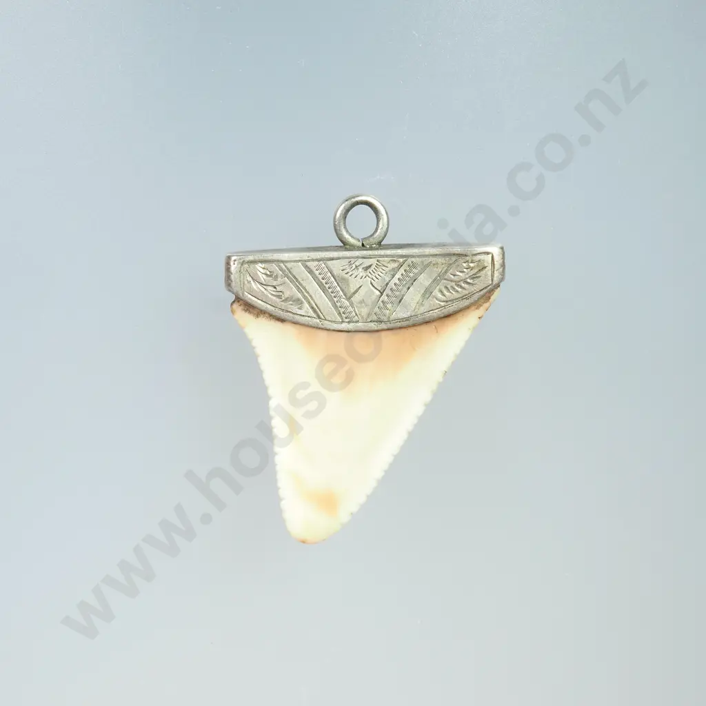 Colonial Shark Tooth Pendant Image 1++