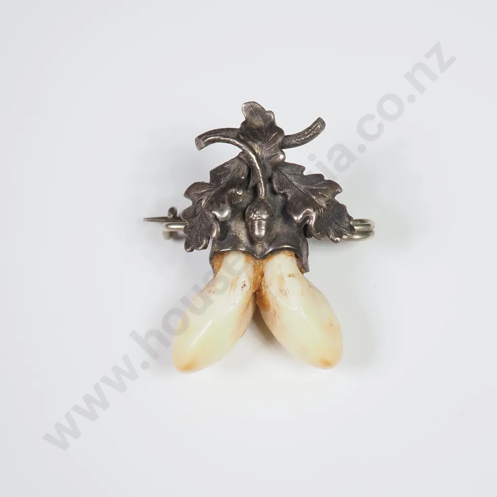 Sterling Silver Tooth Brooch w Oak Leaf Detail Image 1++