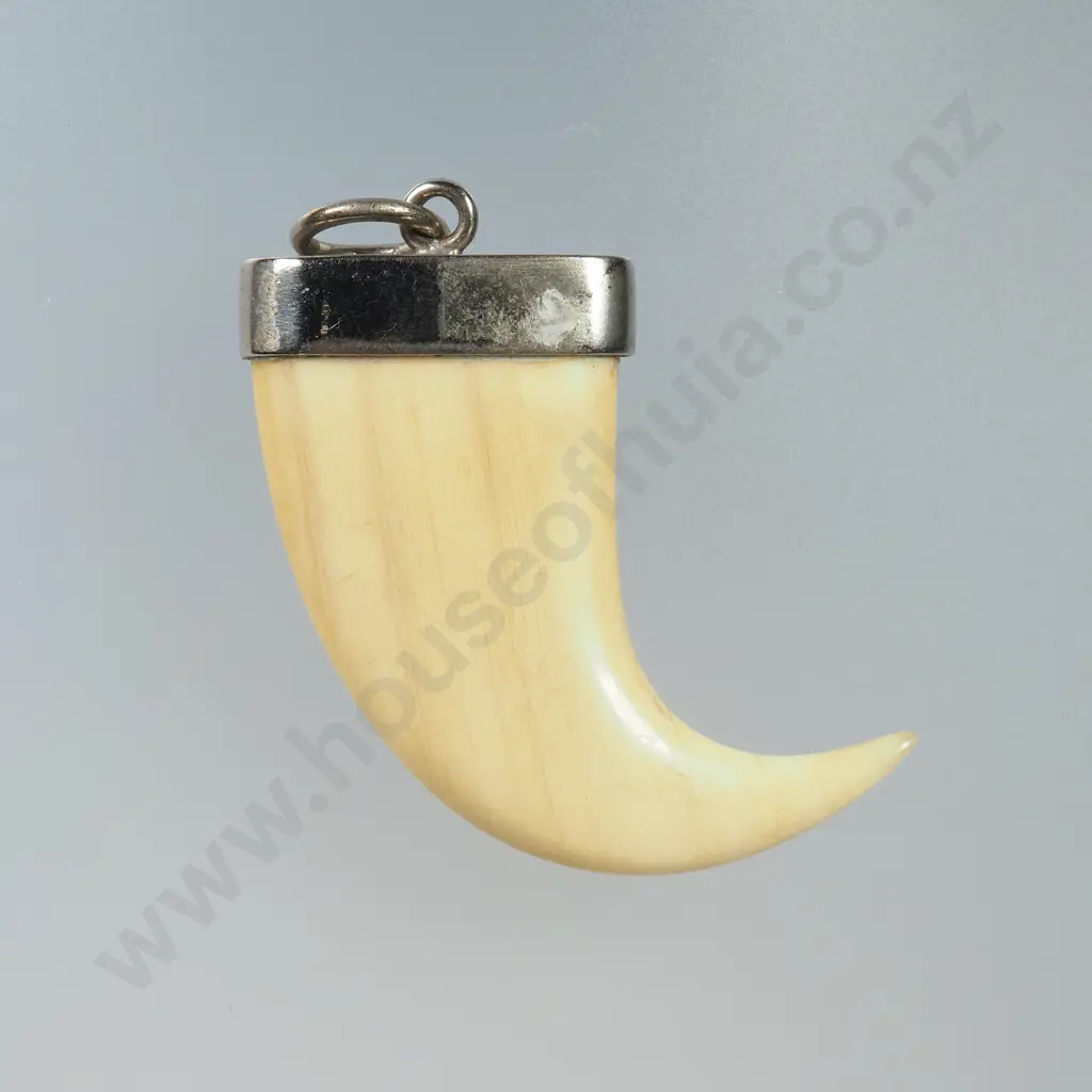 Tiger Claw Style Pendant Image 1++