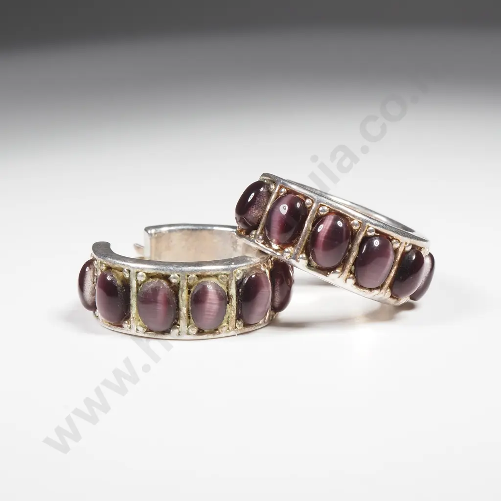 Silver Coloured Earrings w Purple Tiger Eyes Image 1++