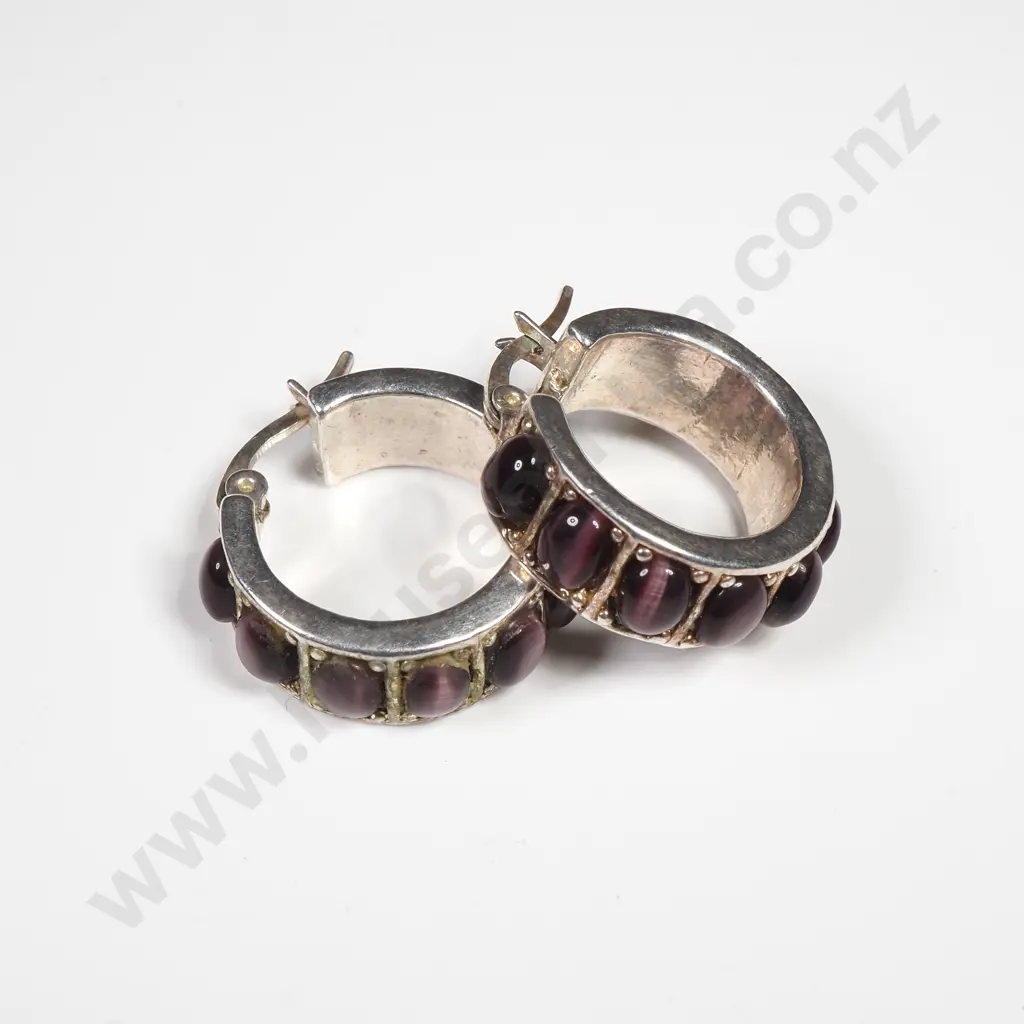 Silver Coloured Earrings w Purple Tiger Eyes Image 1++