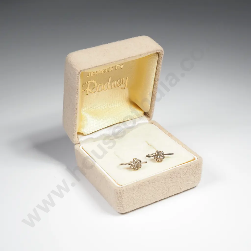 Vintage Cased Stud Earrings Image 1++