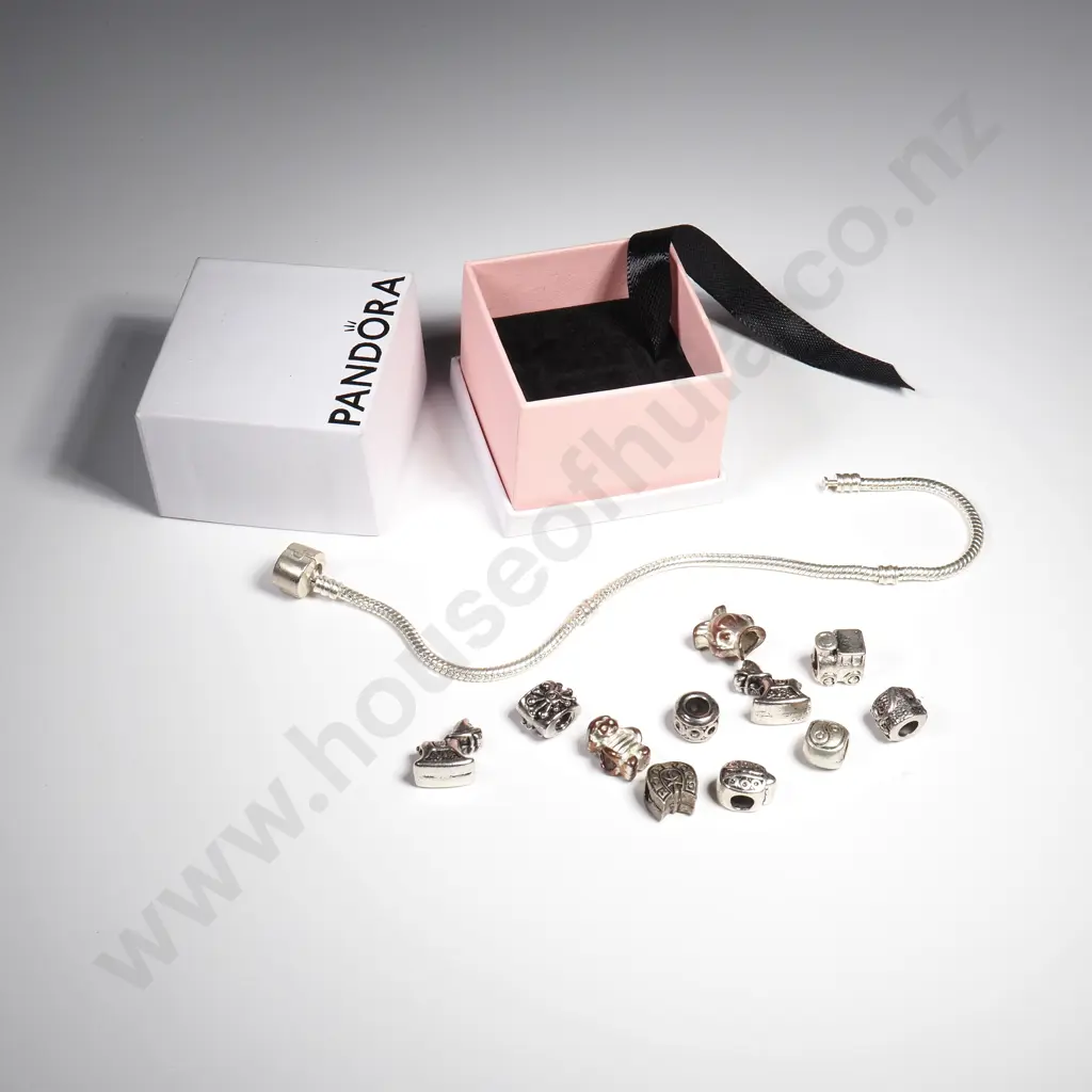 Collection of Pandora Style Charms & Bracelet Image 1++
