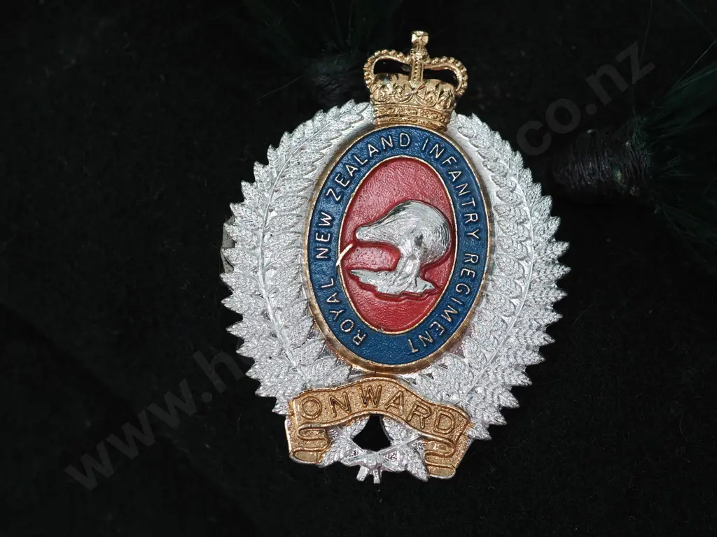 Green Canterbury Infantry Regiment Undated Caubeen w Two Green Hackles Image 1++
