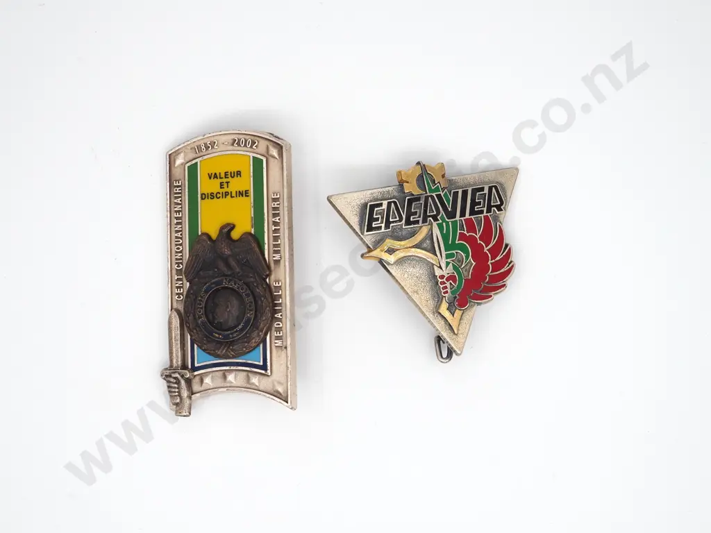 Two French Military Badges by Artus Bertrand Image 1++