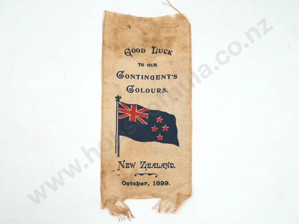 Rare First NZMR Contingent Fund-Raising Silk Image 1++