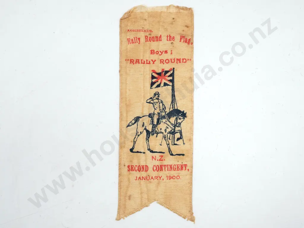 Rare Second NZMR Contingent Fund-Raising Silk Image 1++
