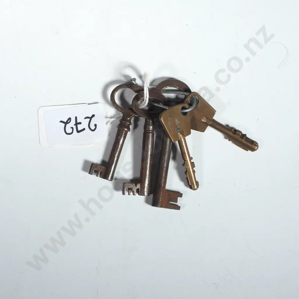 Vintage Group of Skeleton Keys Image 1++