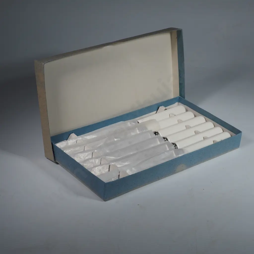 Boxed Set of Six Bone Style Entree Knives, Sheffield Stainless Steel Image 1++