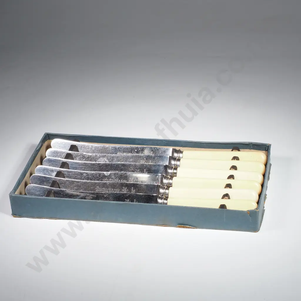 Box of Six Bone Style Handled Dinner Knives Manufactured by John McClory & Sons, Sheffield Image 1++