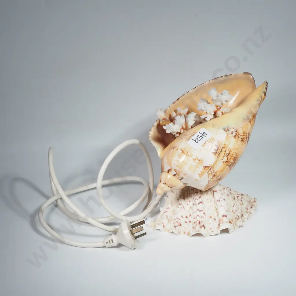 Table Lamp in the Form of a Seashell w Attached Delicate White Coral Branches Resting on Another Seashell Image 1++