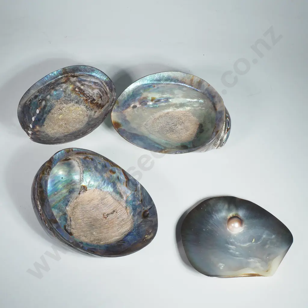 3 x Paua Shells w a Tahitian MOP Blister Pearl Shell Image 1++