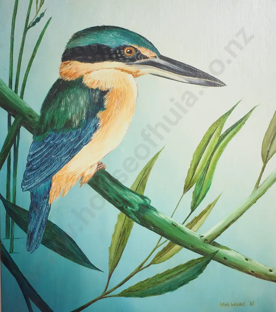 Peter Wardrop - Sacred Kingfisher, Oil on Board Image 1++