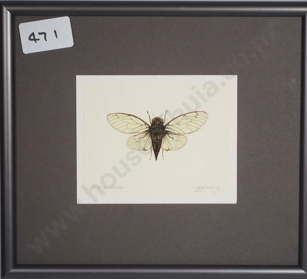 JG Ewing - Chorus Cicada, Print Image 1++