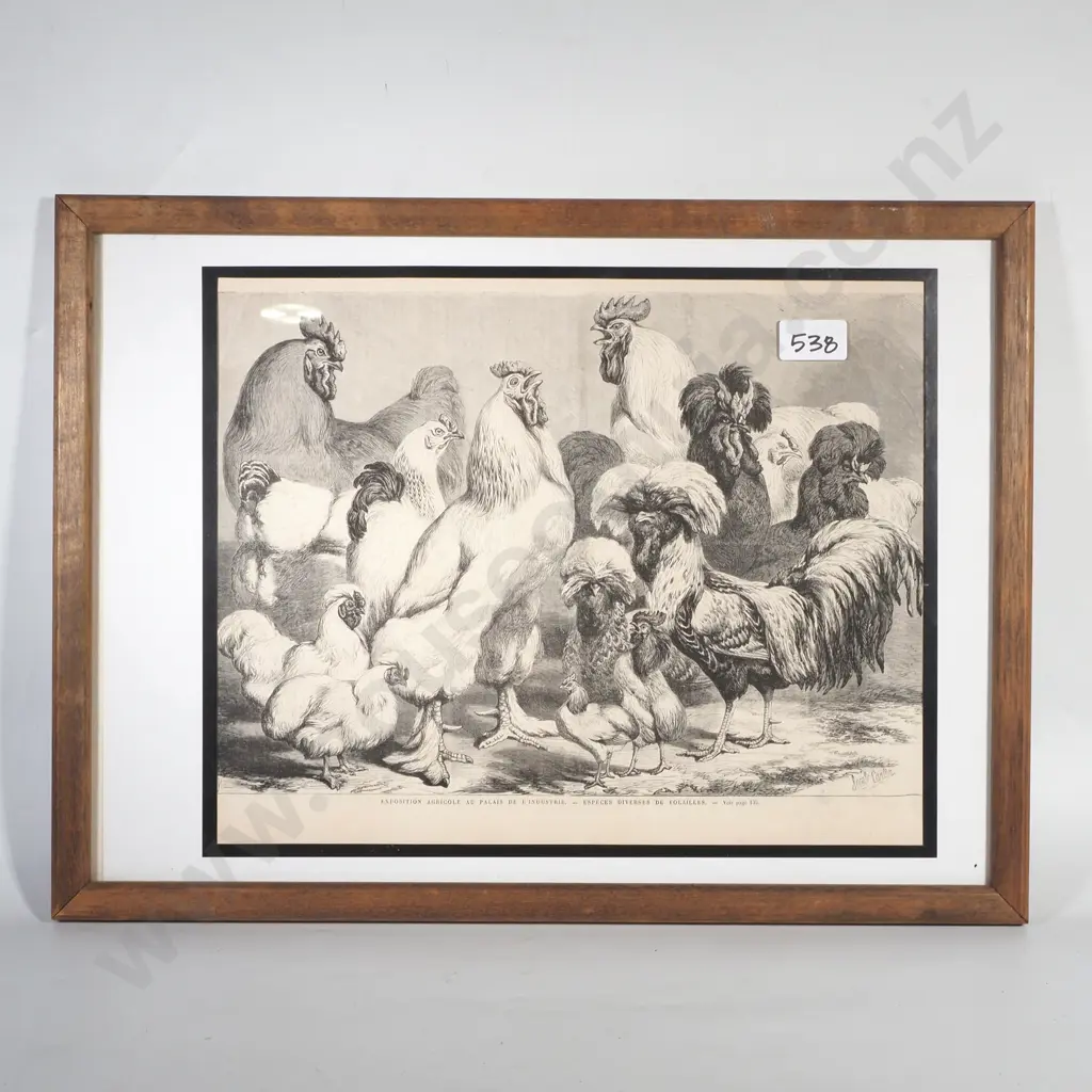 Framed Black & White Print depicting Various Breeds of Chickens & Roosters Image 1++