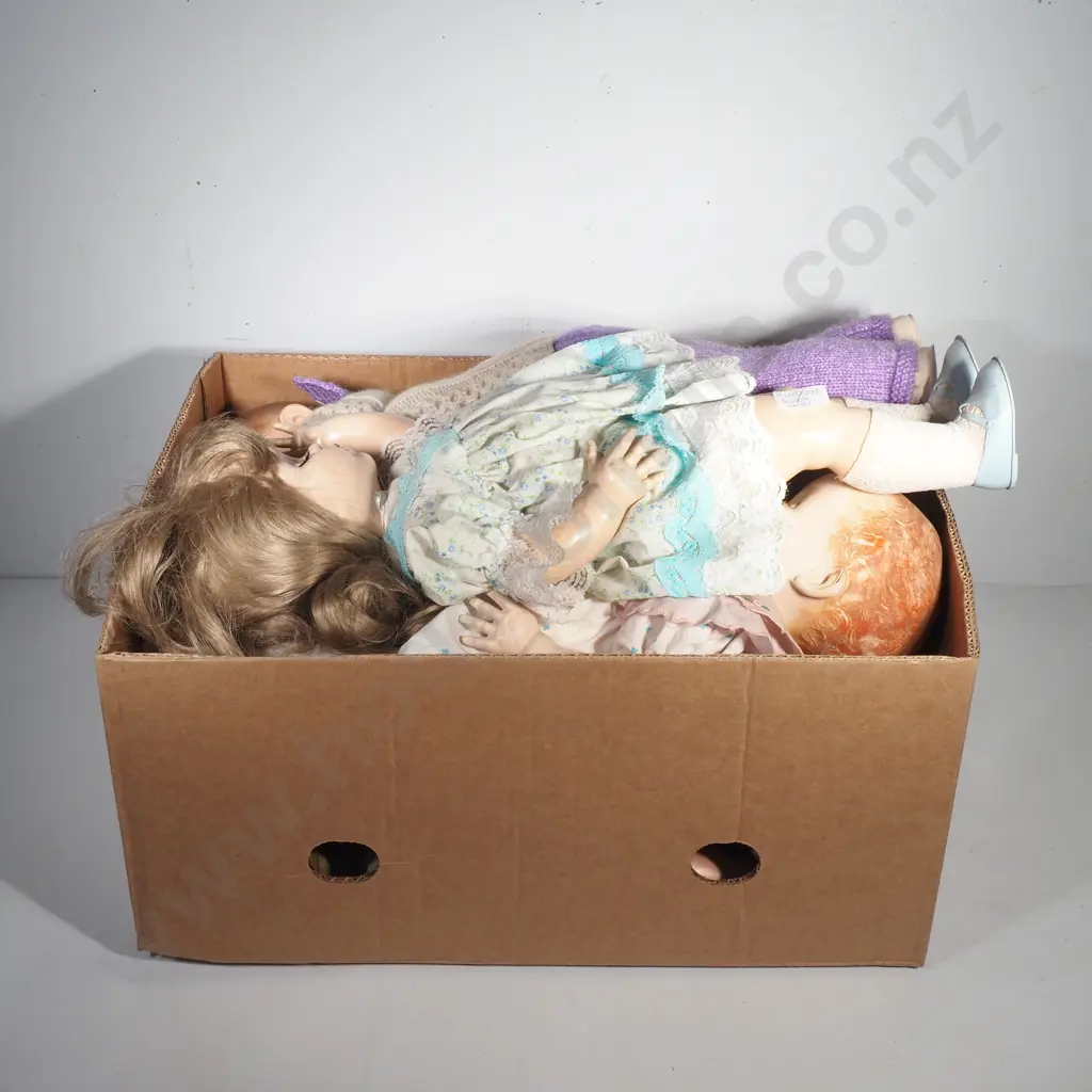 Collection of Seven Pedigree Dolls & One Shirley Temple Doll Image 1++