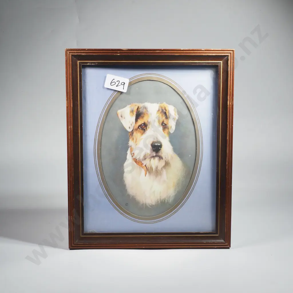 Framed Print of a Wire Haired Terrier in an Oval Frame Image 1++