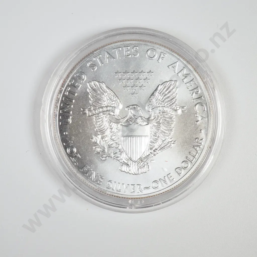 US 2014 One Ounce Silver Eagle - Coloured Front Image 1++