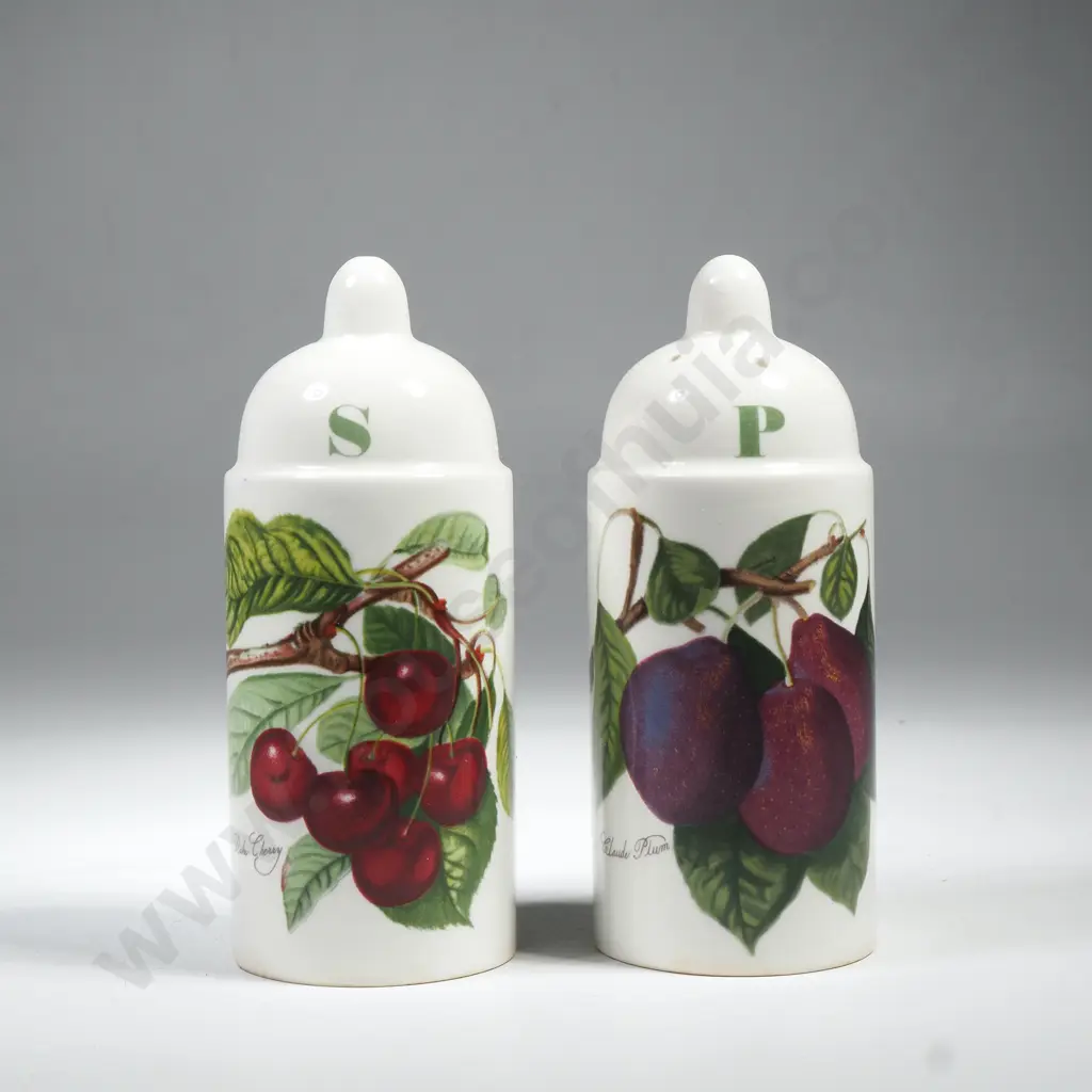 Vintage Portmeirion Pomona Salt Shaker w Fruit Illustration & a Green Salt & Pepper Label Image 1++