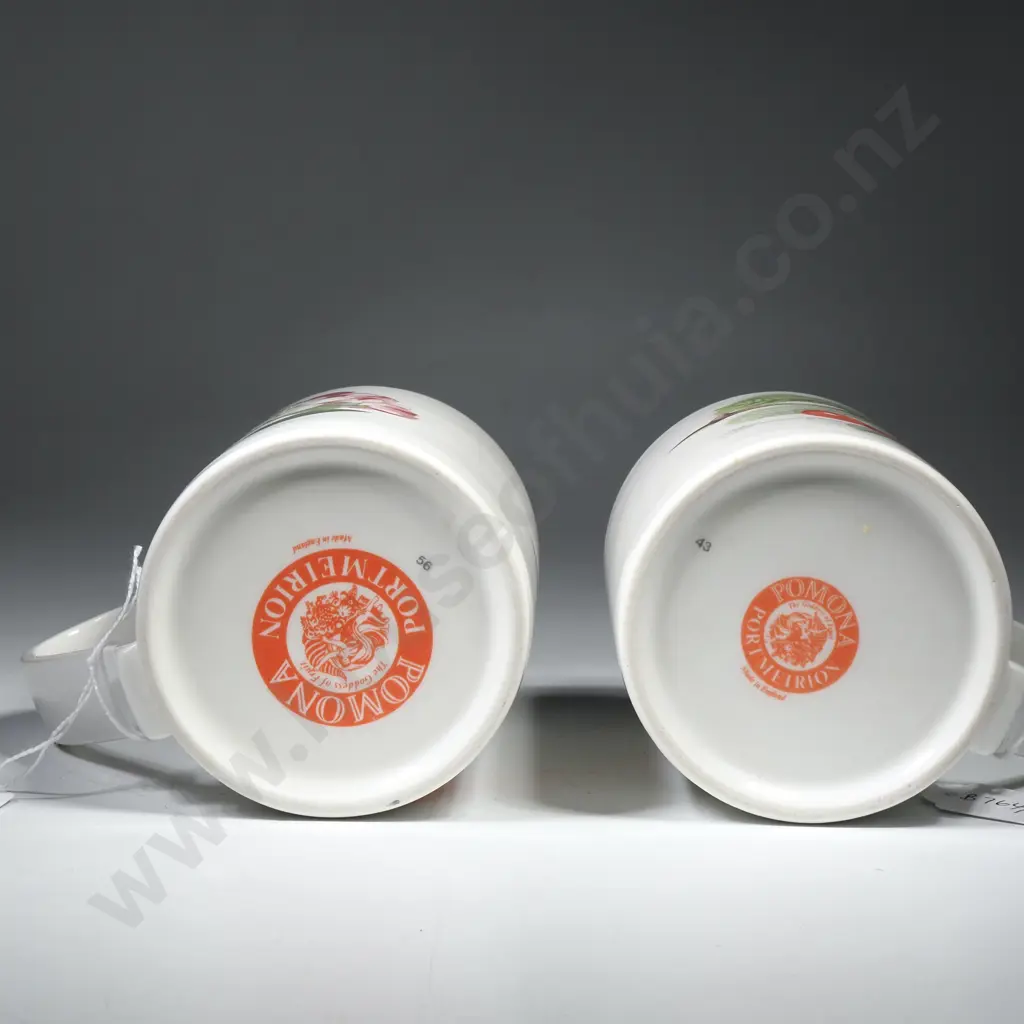 Two Portmeirion Coffee Mugs in the Pomona Pattern Image 1++