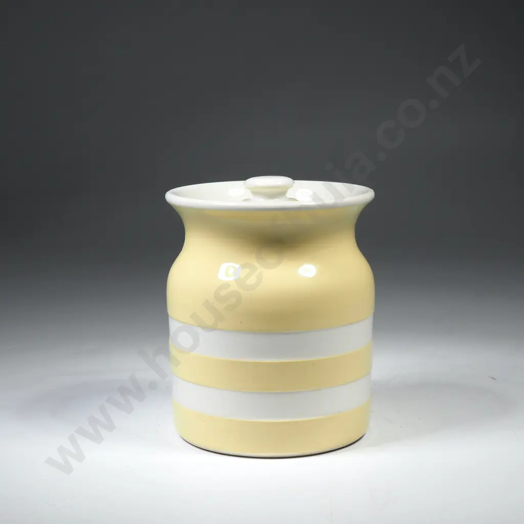 T G Green Yellow Cornish Ware Spice Jar w Green Shield Mark Image 1++