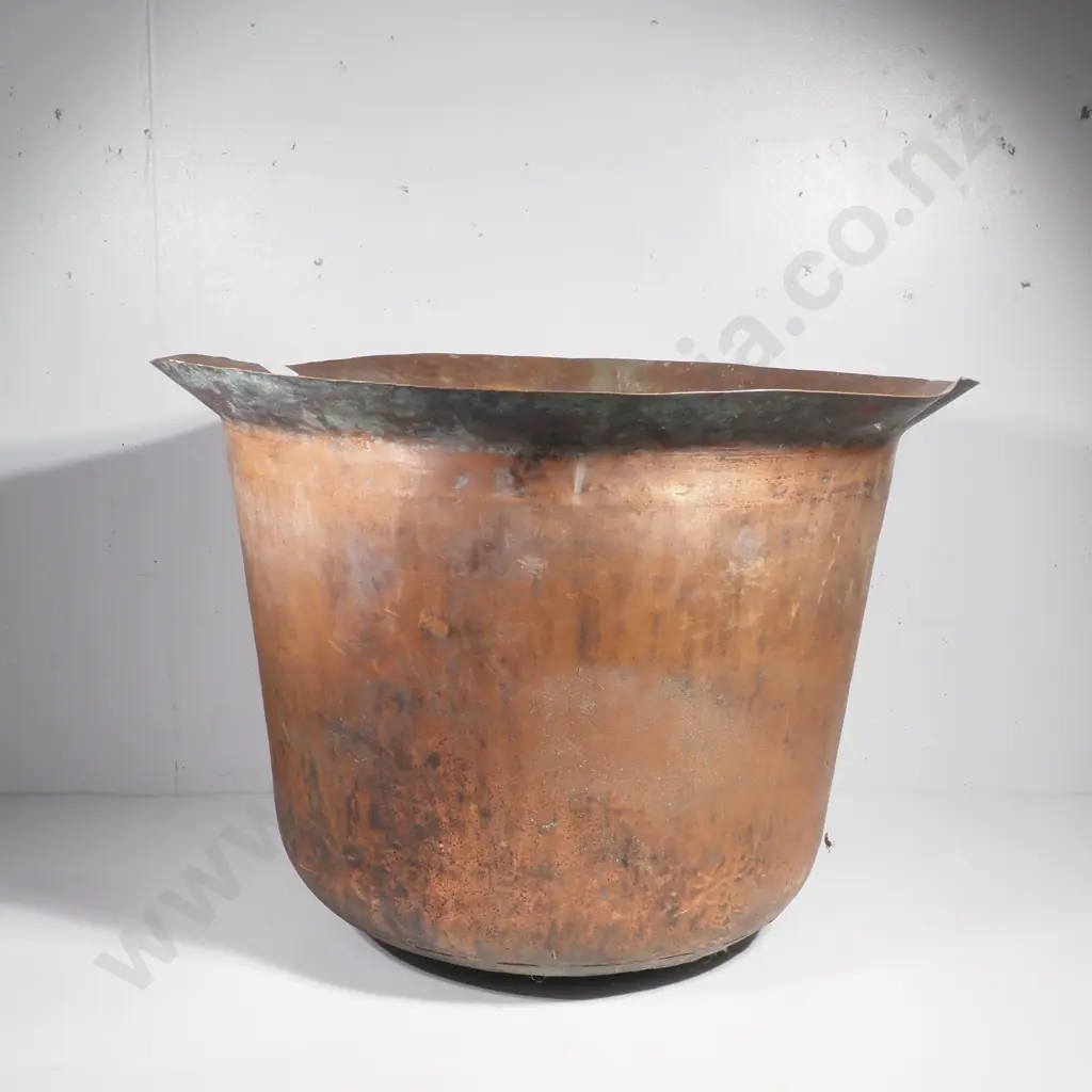 Large Copper Image 1++