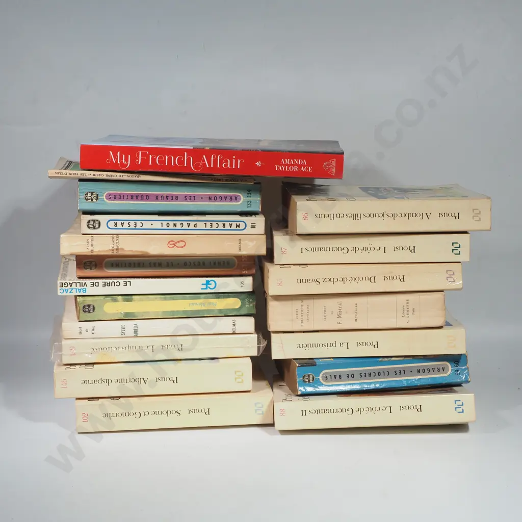 Collection of Books, Mainly Novels  Written in French Image 1++