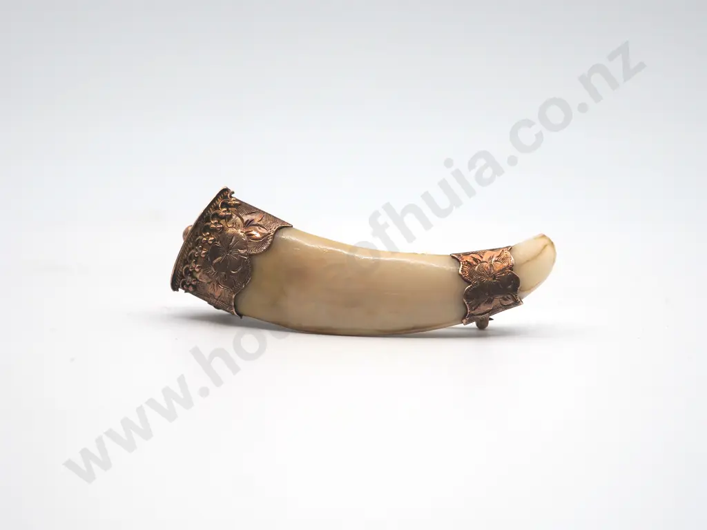 Colonial Boar Tusk Brooch Image 1++