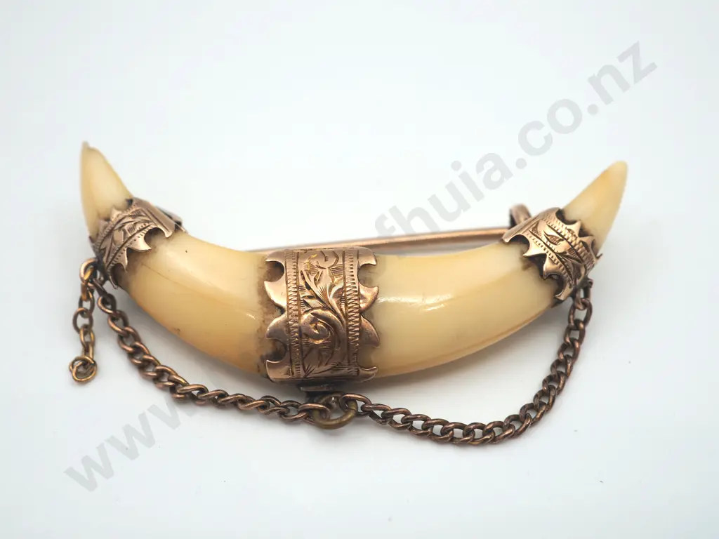 Double Boar Tusk Brooch in 9ct Gold Image 1++