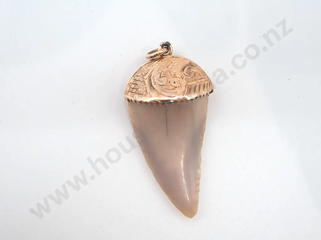 Colonial Shark Tooth 9ct Gold Pendant "A Jaw Dropper" Image 1++