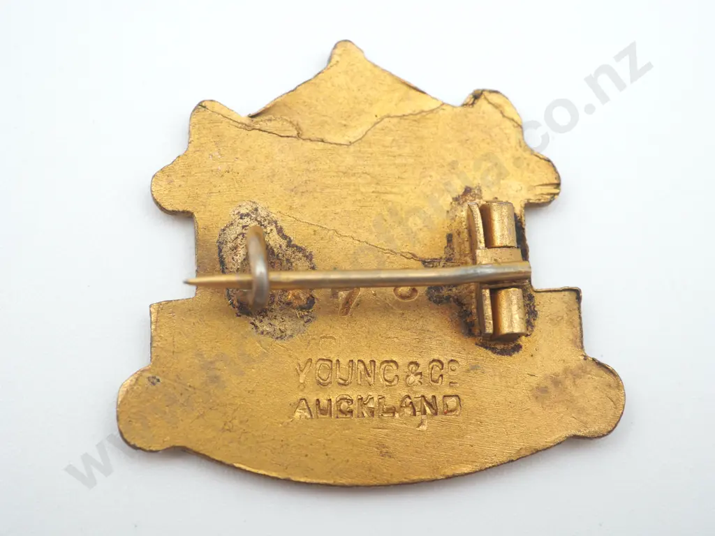 Vintage gilt metal and enamel Old Colonists N.Z. Association badge Image 1++