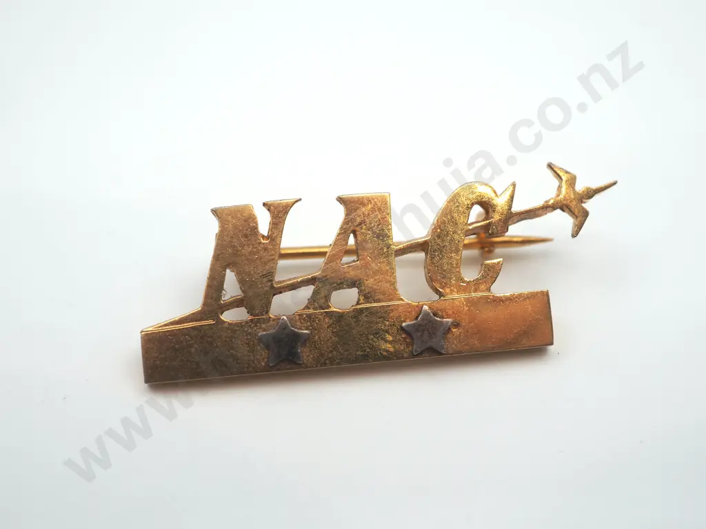 Vintage N.A.C. ( National Airways Corporation ) “gold” badge.  Image 1++