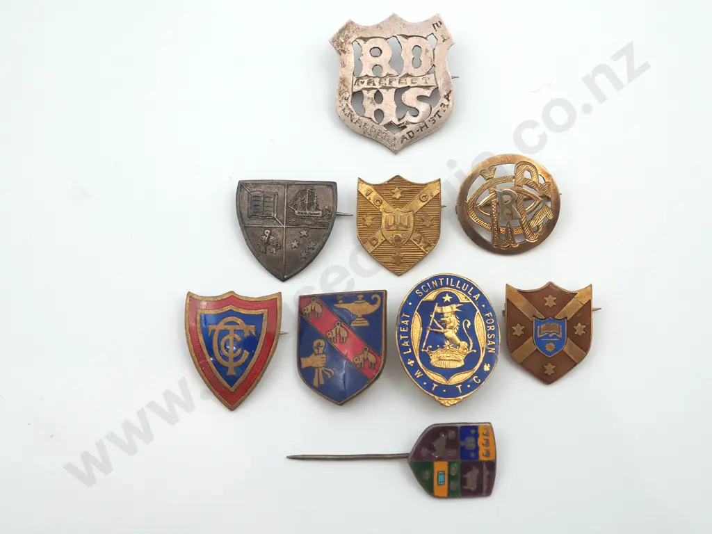 9 x different New Zealand antique and vintage metal school and college badges and pins Image 1++