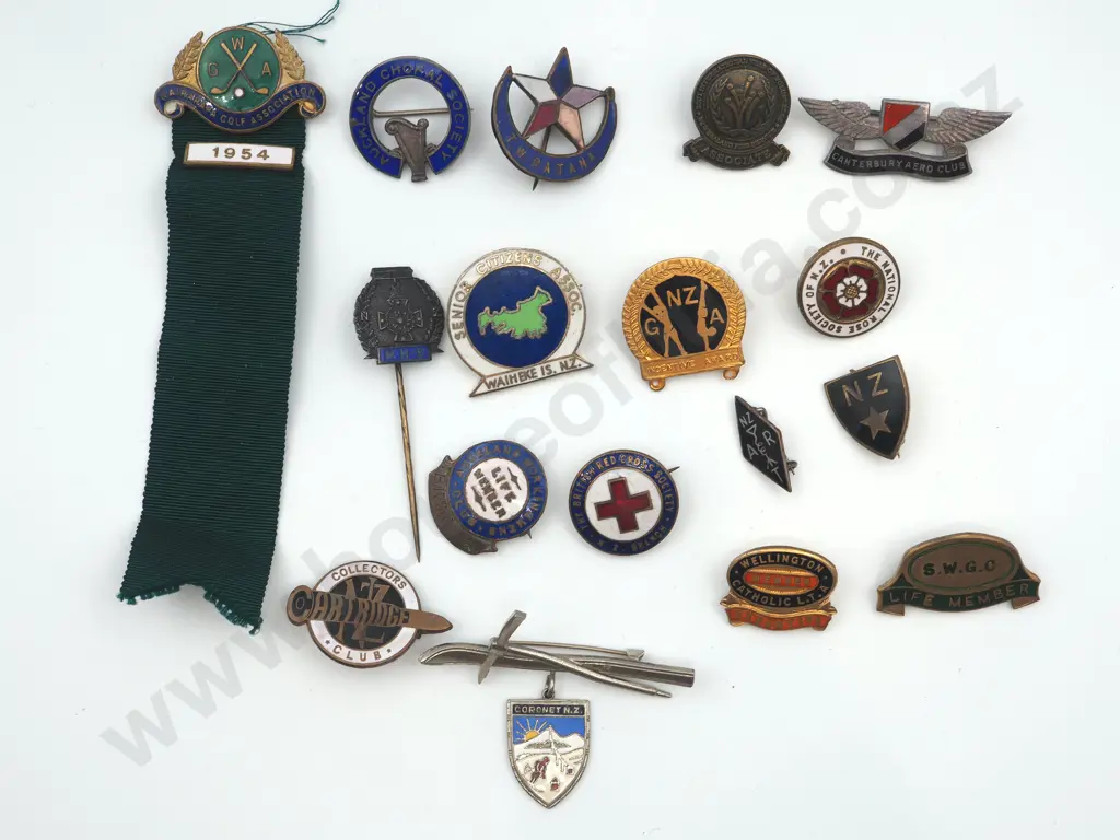 17 x different vintage New Zealand metal and enamel pins and badges. Image 1++