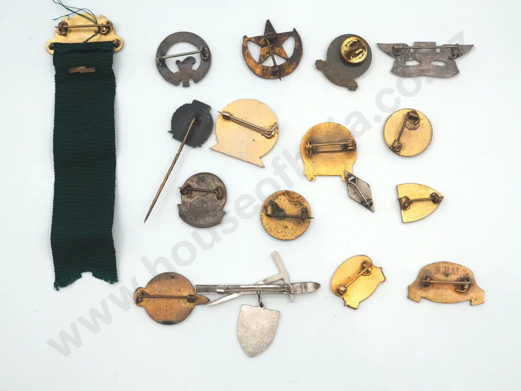 17 x different vintage New Zealand metal and enamel pins and badges. Image 1++