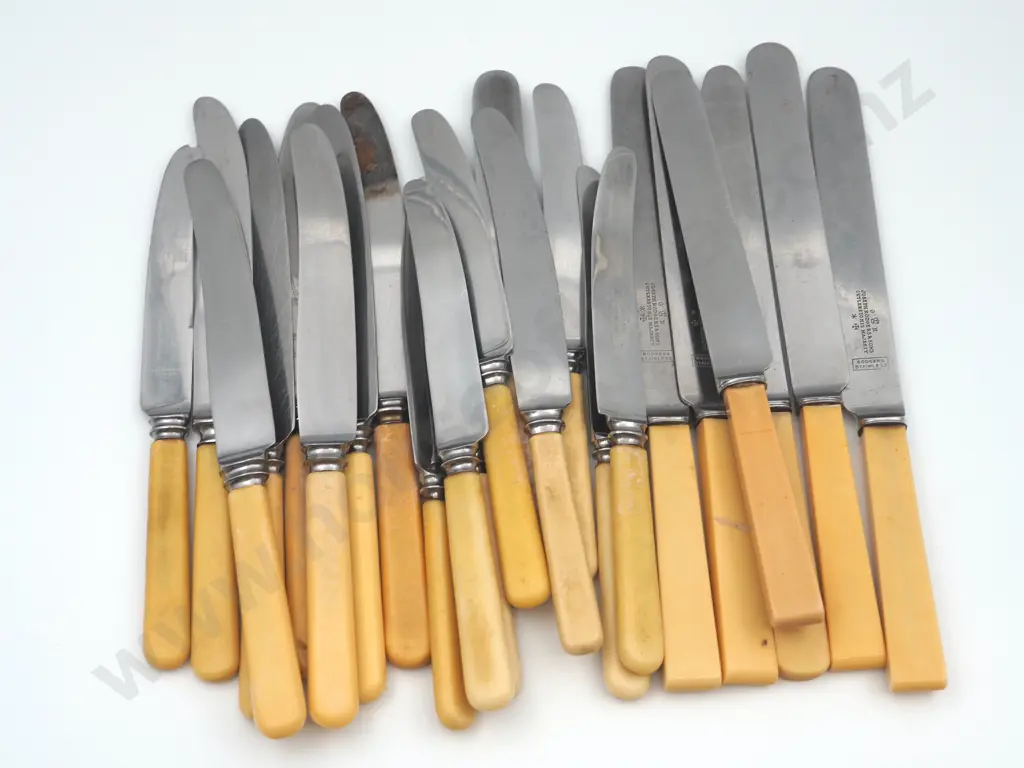 Large Assortment of Bone Handled Knives Image 1++