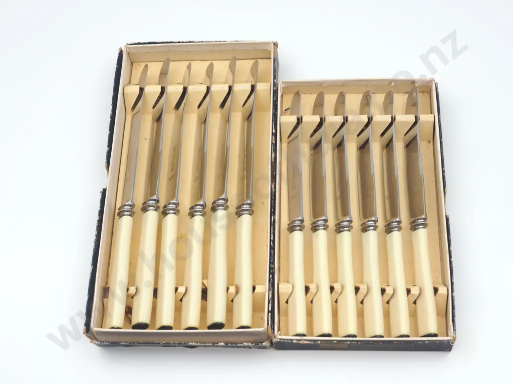 Two Boxes of Bone Handle Knives Image 1++